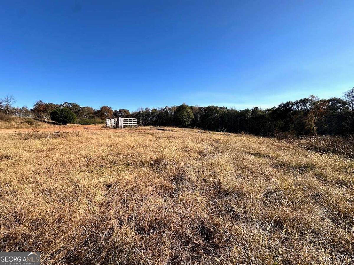 2140 Highway 166 Bowdon - 18