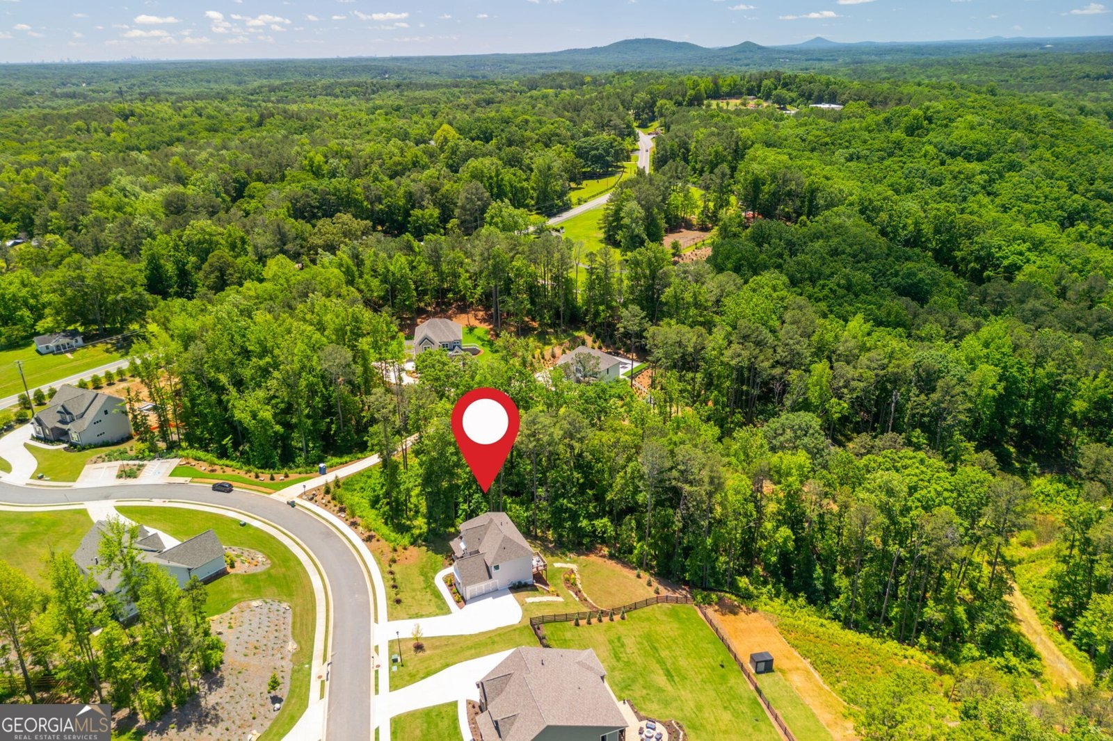 1013 Liberty Springs Drive Woodstock - 61