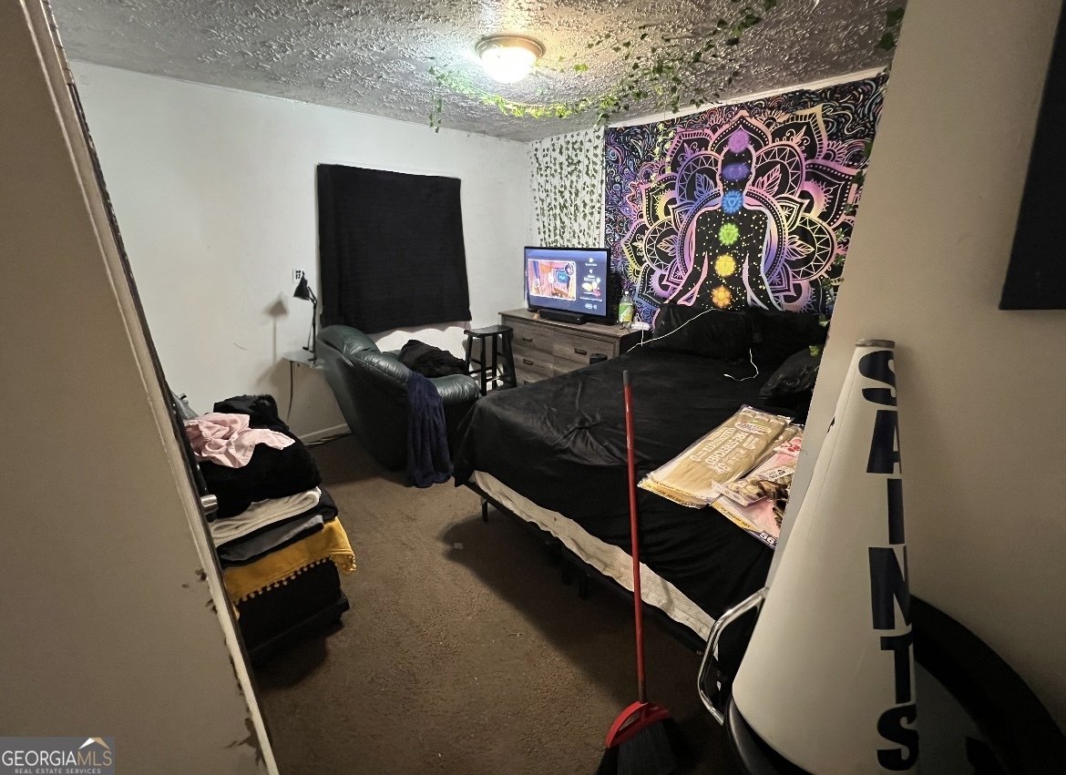 3929 Rockey Valley Drive Conley - 10