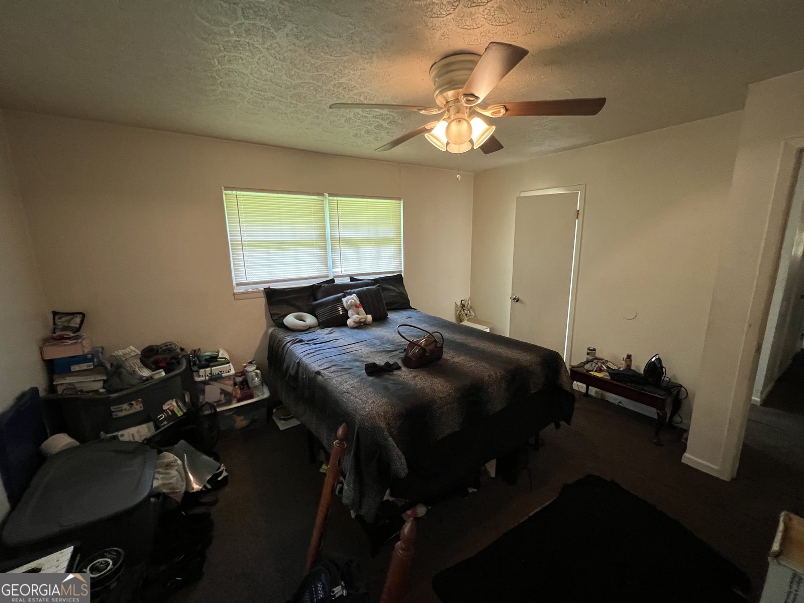 3929 Rockey Valley Drive Conley - 7