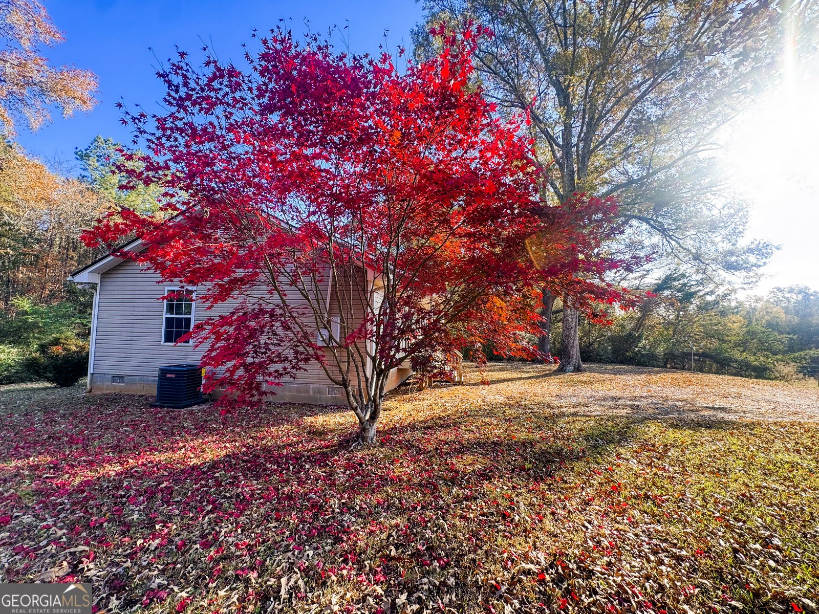 148 Persons Road Cedartown - 4