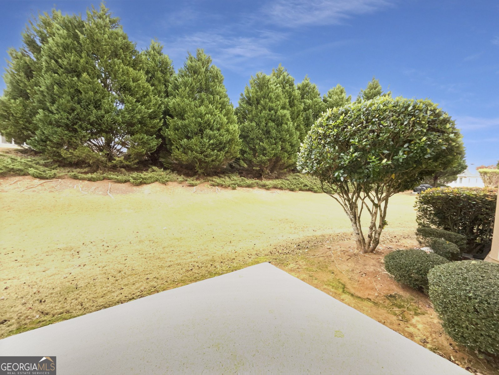 6508 Terraglen Way Locust Grove - 10