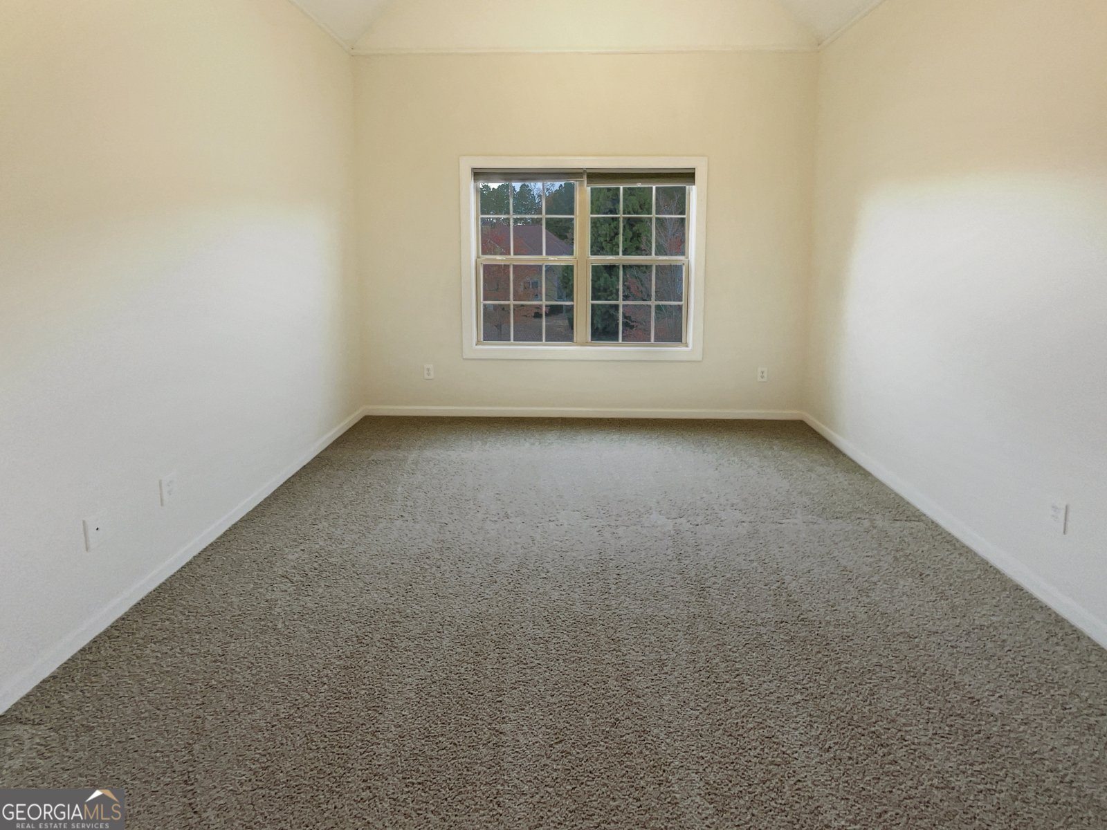 6508 Terraglen Way Locust Grove - 3