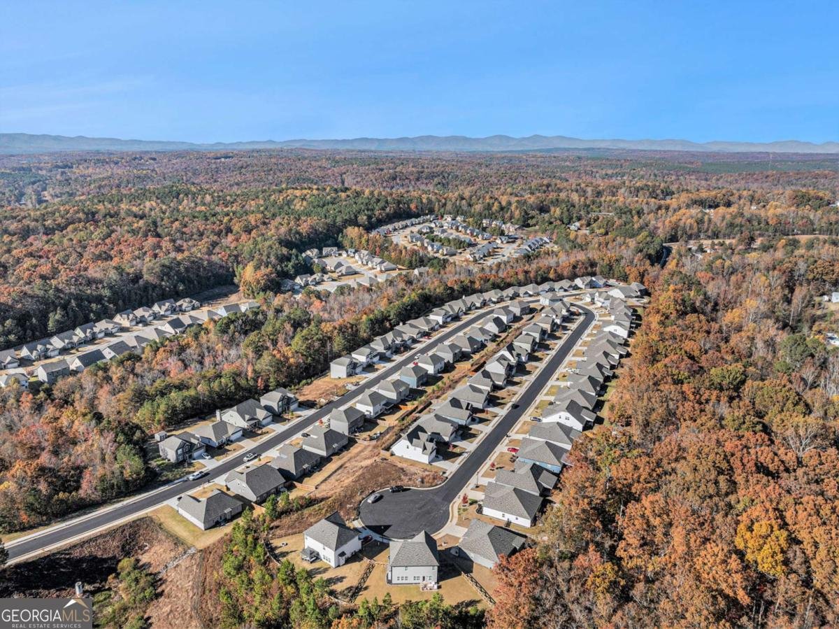 193 Timber Ridge Dawsonville - 32