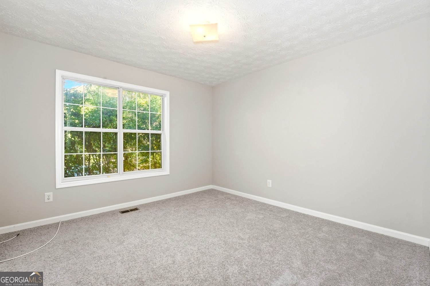 4099 Harvest Ridge Drive Douglasville - 18