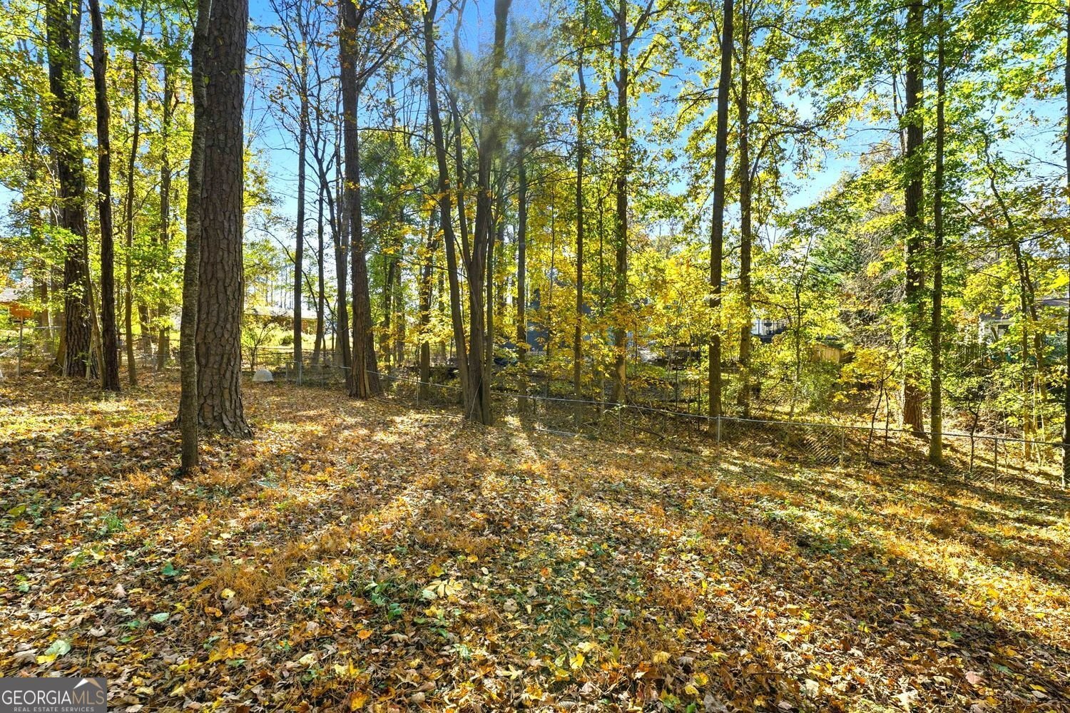 4099 Harvest Ridge Drive Douglasville - 42