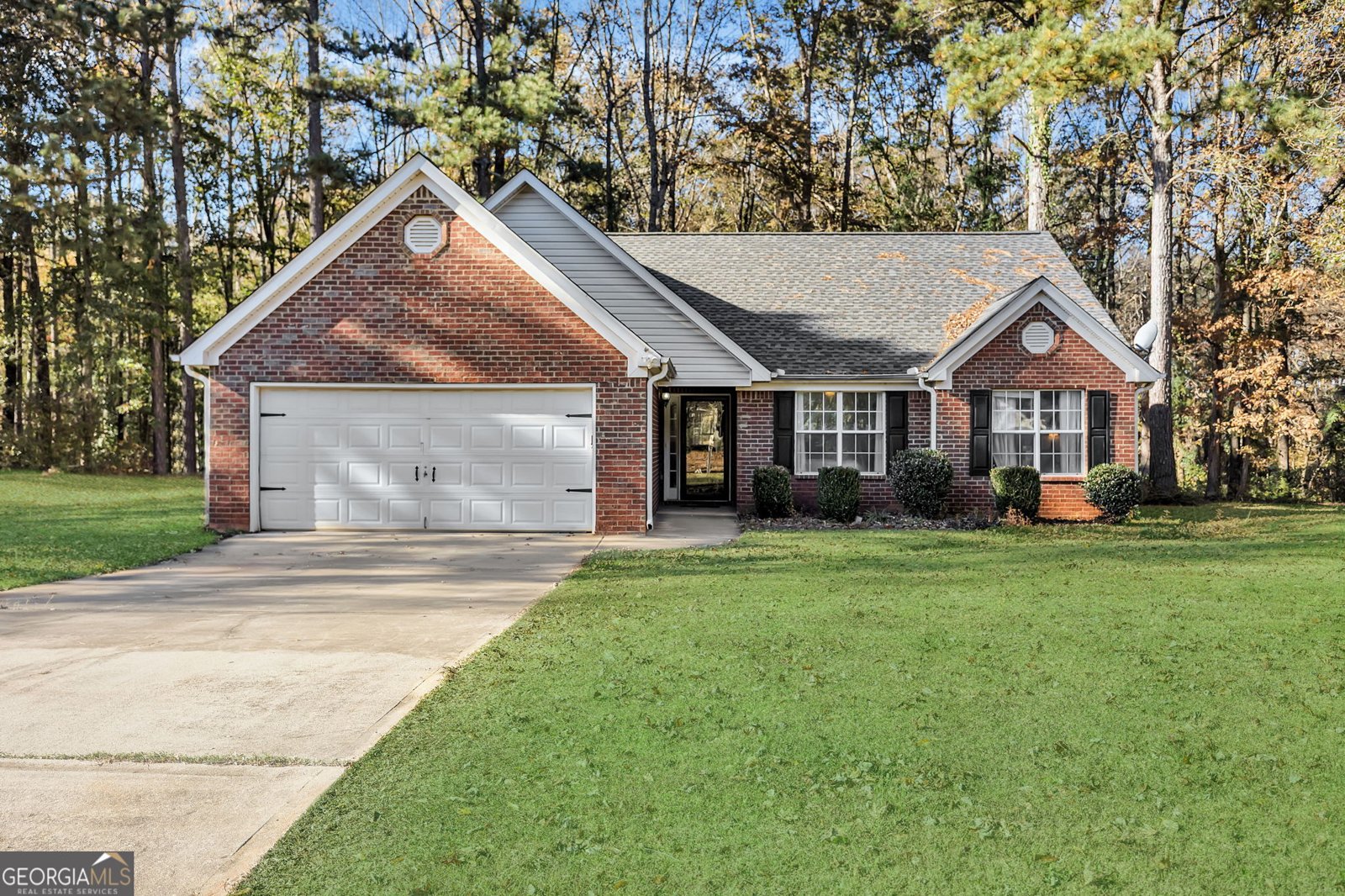 423 Serenity Walk McDonough - 1