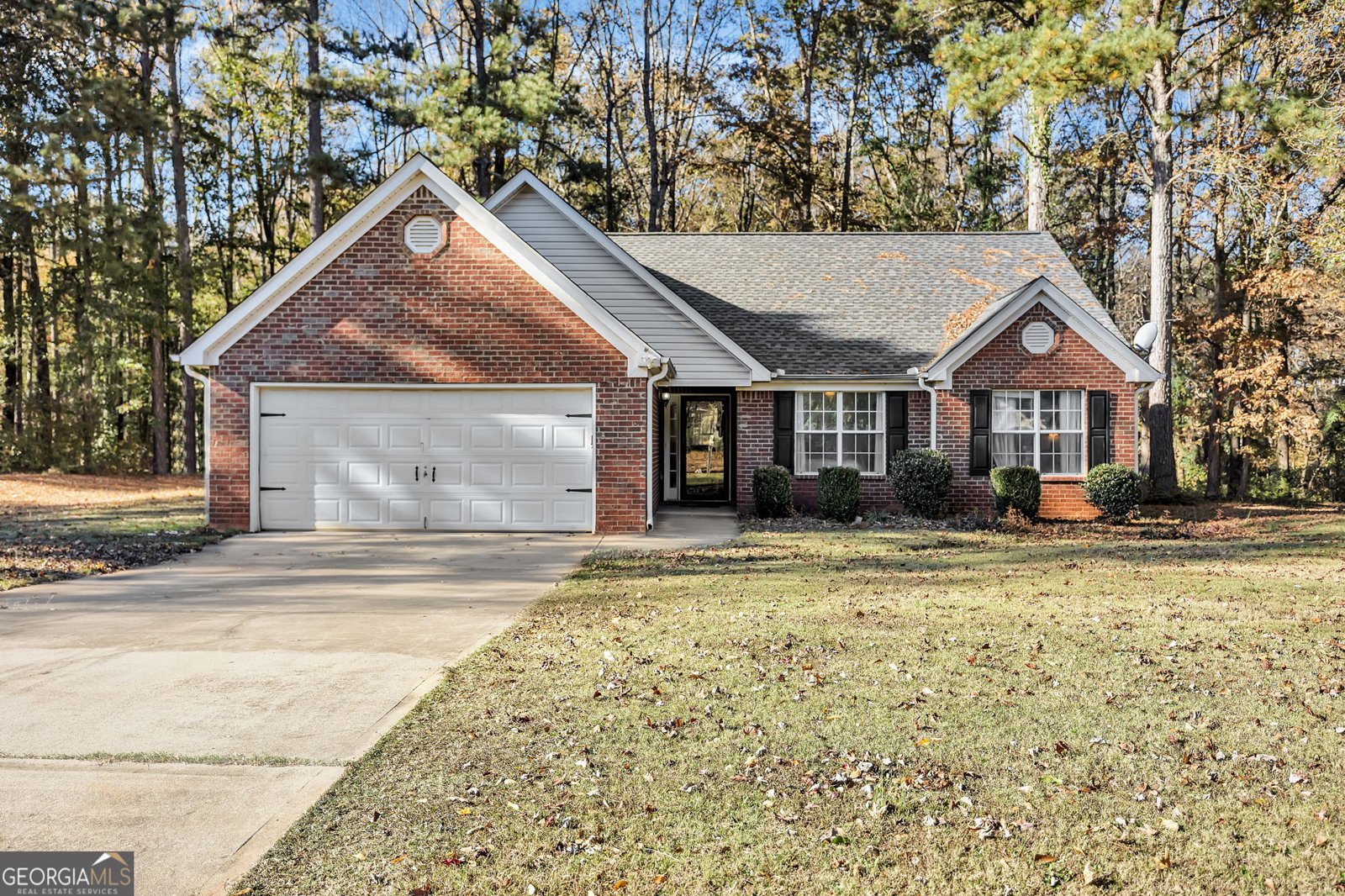 423 Serenity Walk McDonough - 2