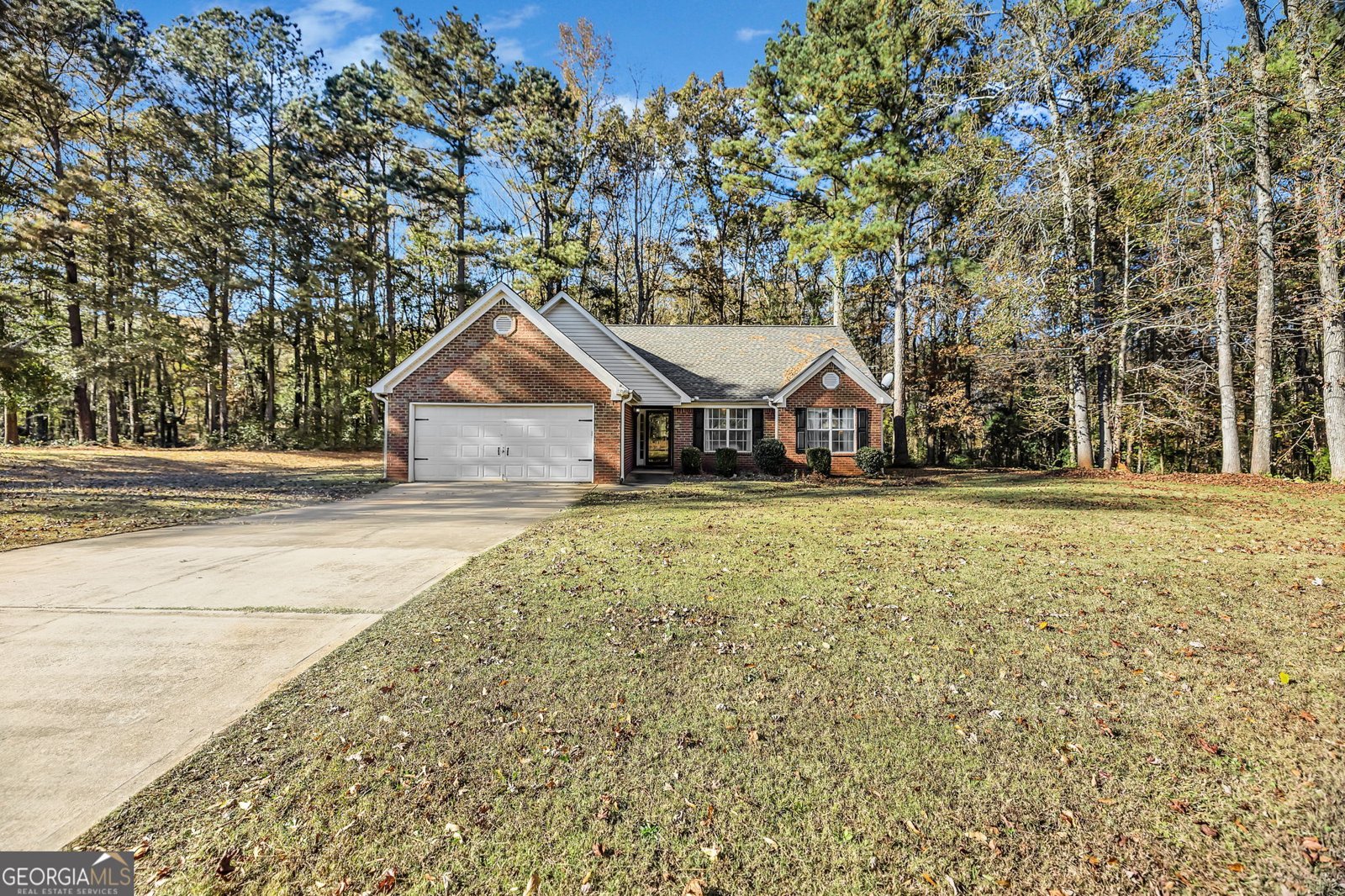 423 Serenity Walk McDonough - 3