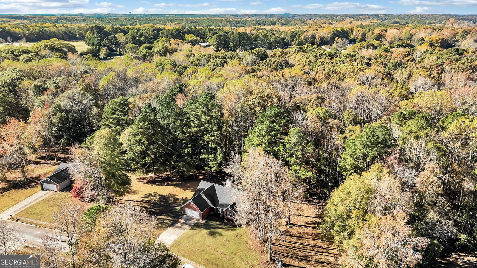 423 Serenity Walk McDonough - 30