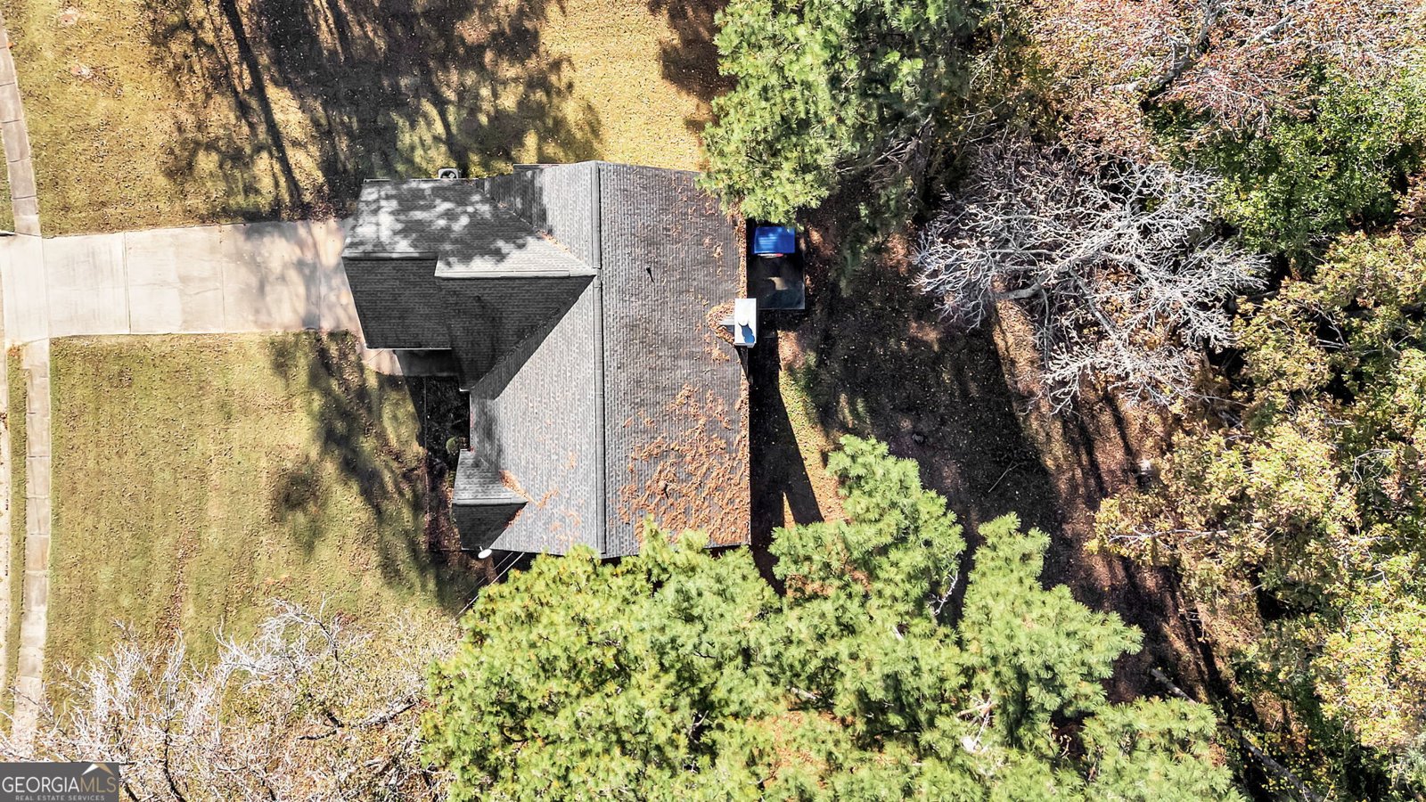 423 Serenity Walk McDonough - 31