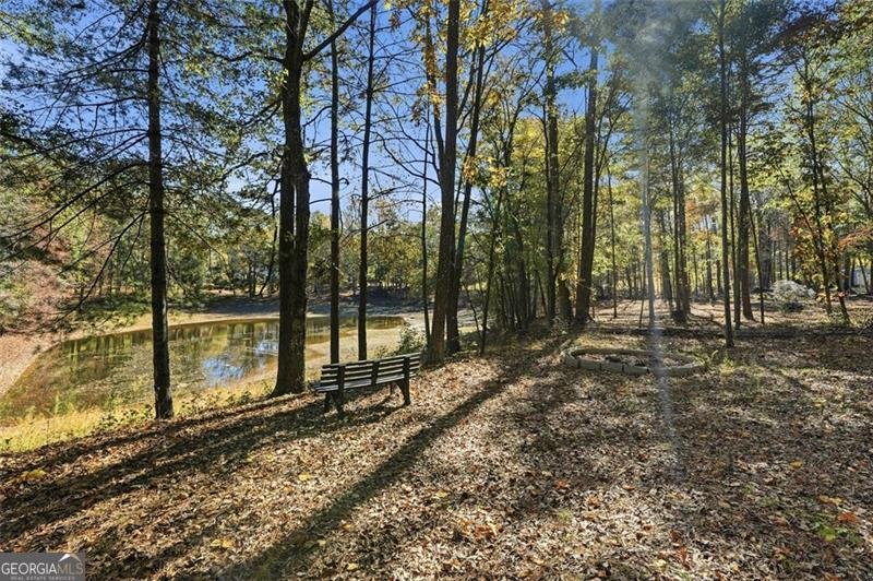 59 Akers Lake Drive Moreland - 38