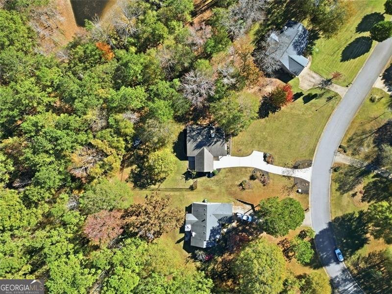 59 Akers Lake Drive Moreland - 45