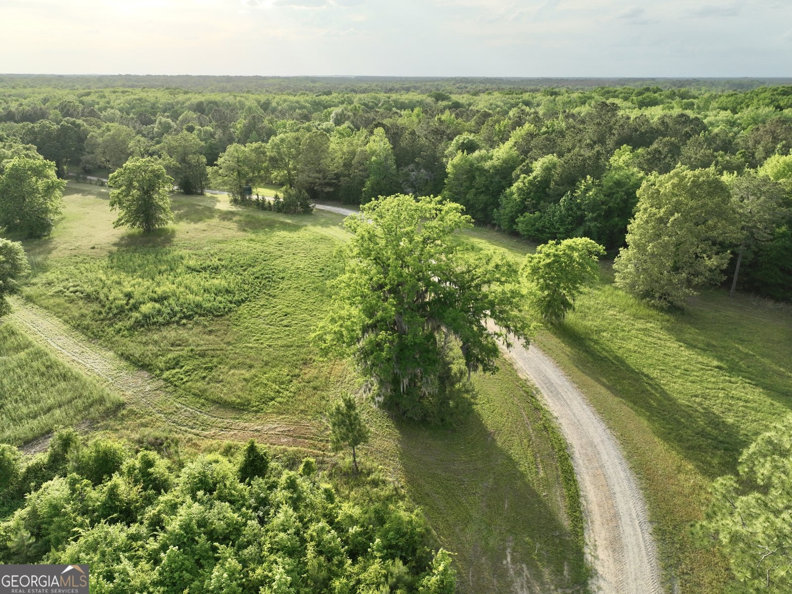 47 Southgate Lane Hawkinsville - 11