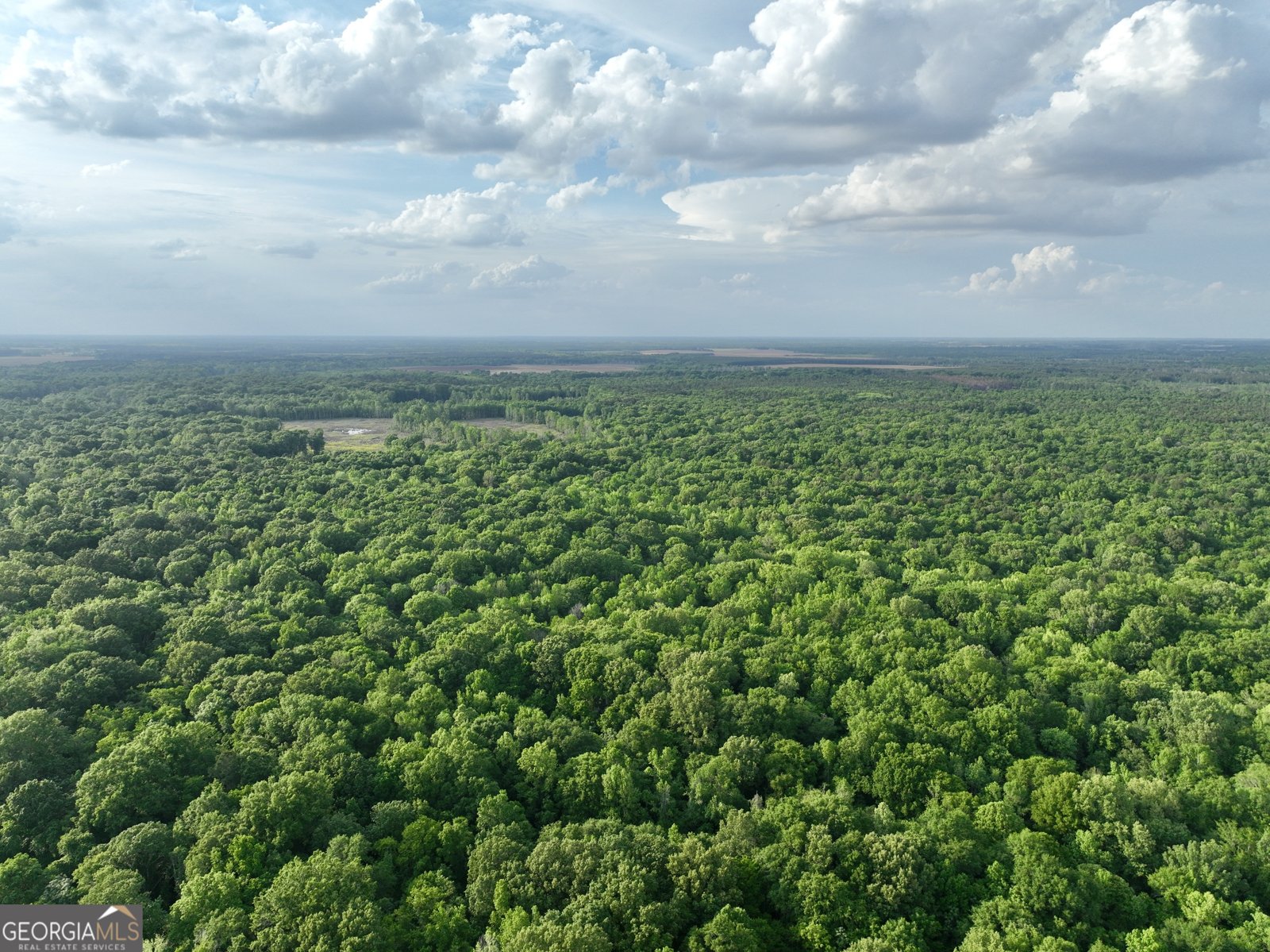 47 Southgate Lane Hawkinsville - 12