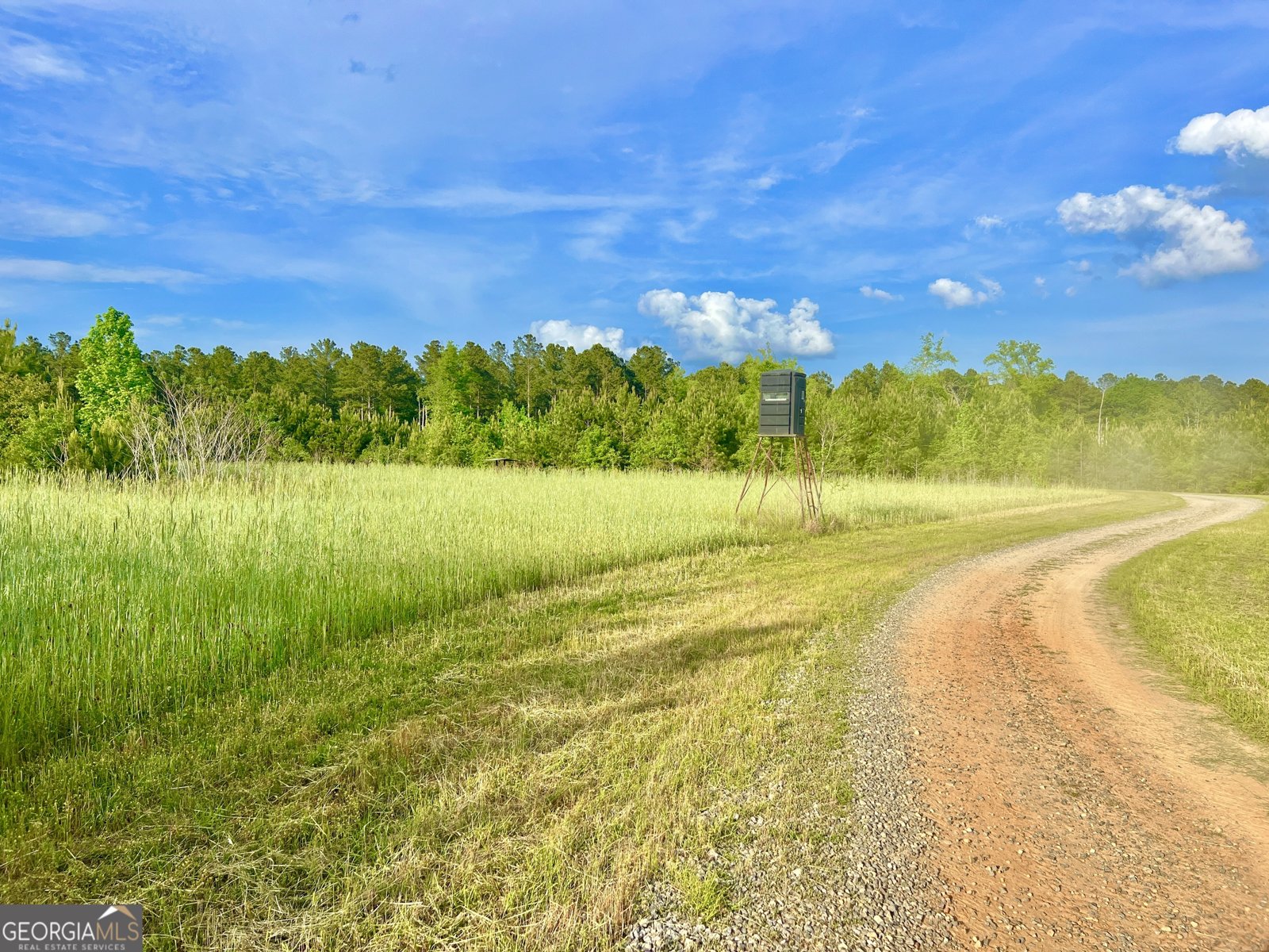 47 Southgate Lane Hawkinsville - 13