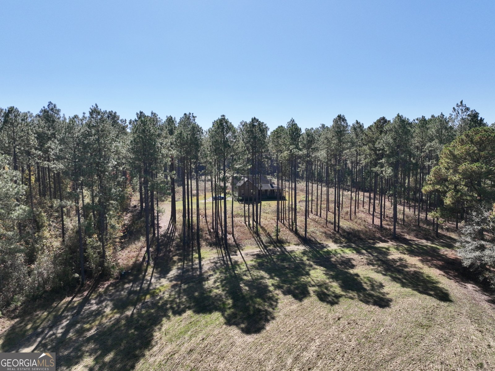 47 Southgate Lane Hawkinsville - 14