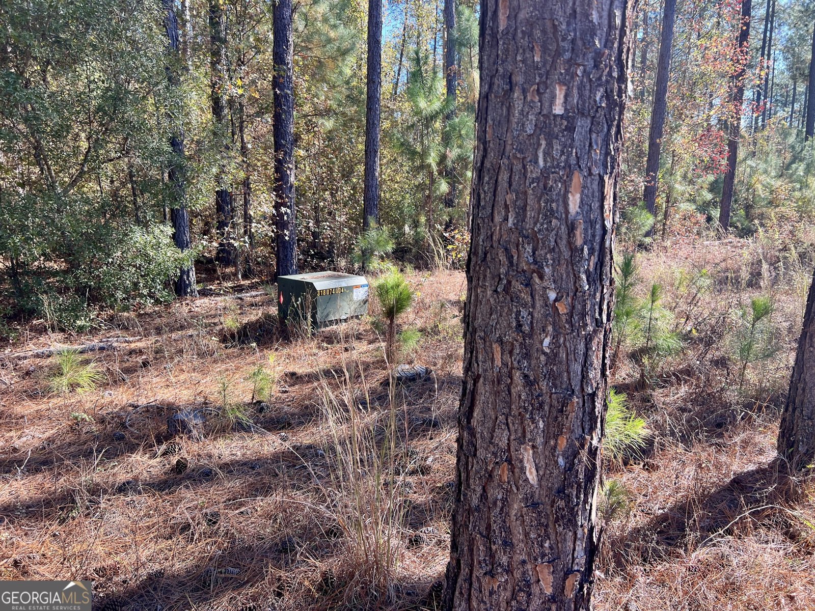 47 Southgate Lane Hawkinsville - 21