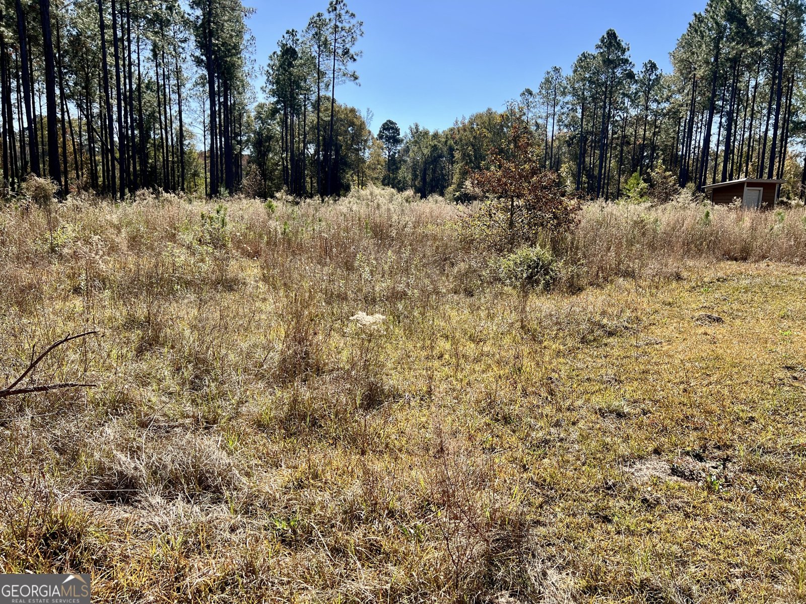 47 Southgate Lane Hawkinsville - 22