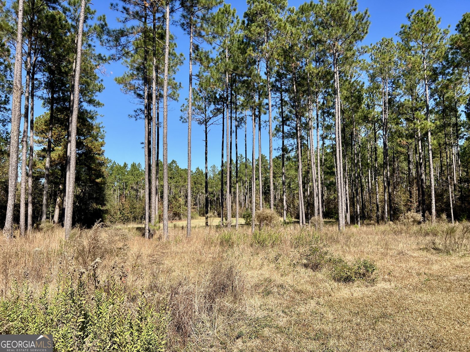 47 Southgate Lane Hawkinsville - 28