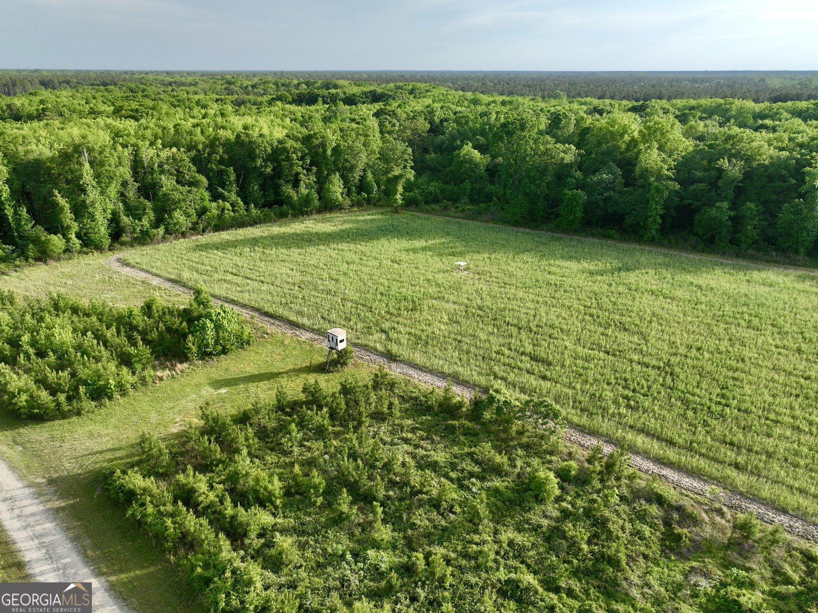 47 Southgate Lane Hawkinsville - 3