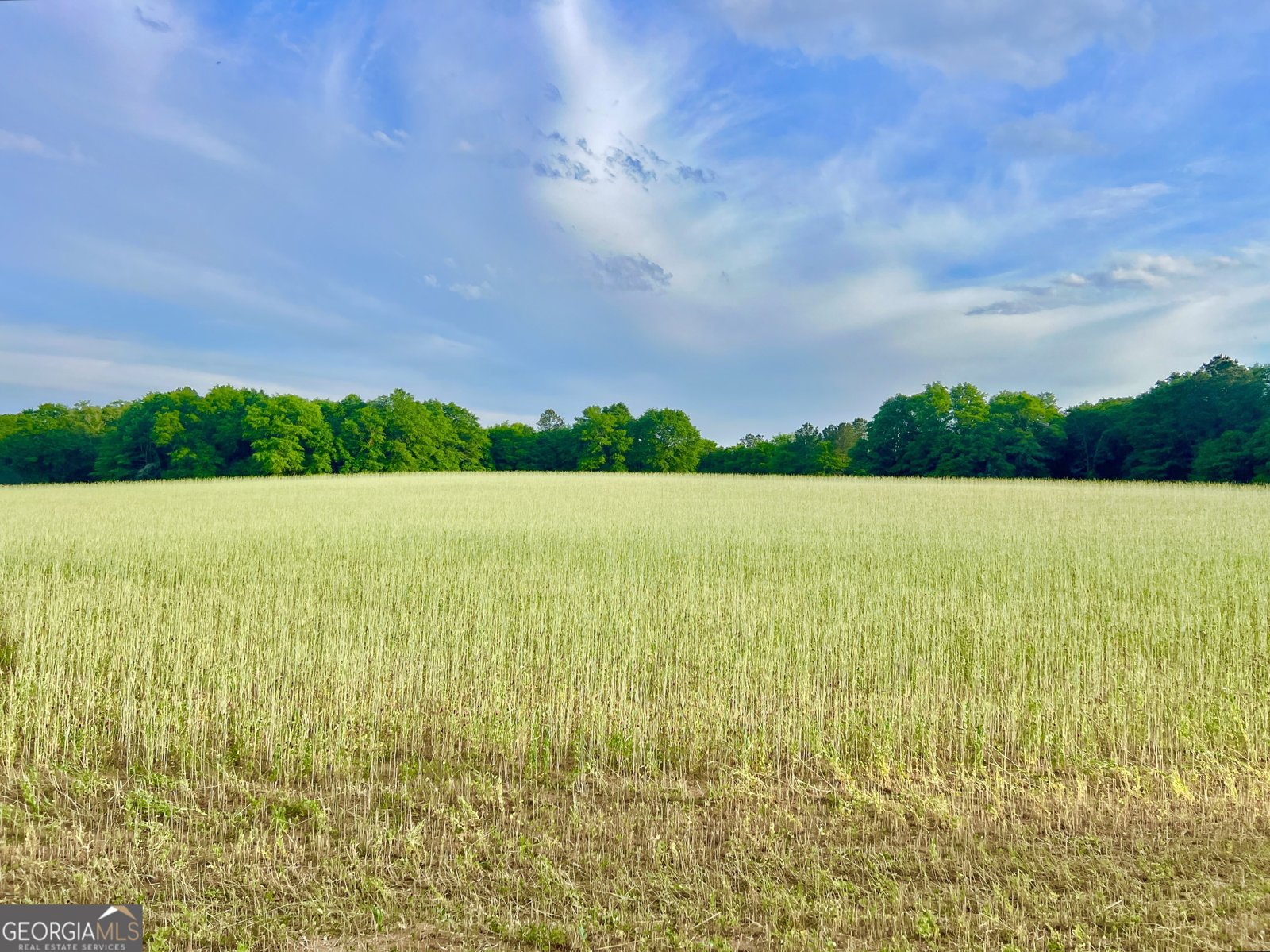 47 Southgate Lane Hawkinsville - 5