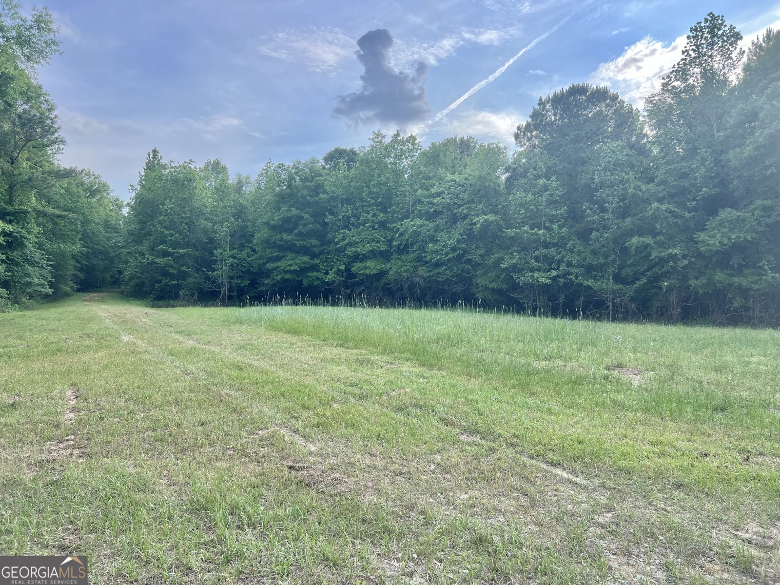 47 Southgate Lane Hawkinsville - 58