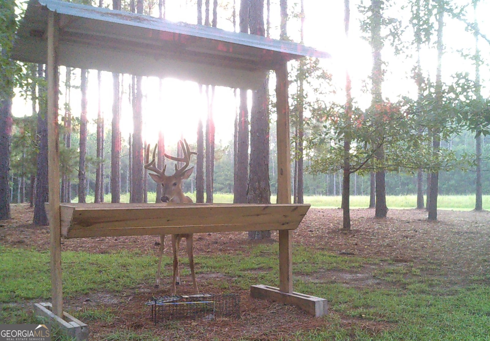 47 Southgate Lane Hawkinsville - 61