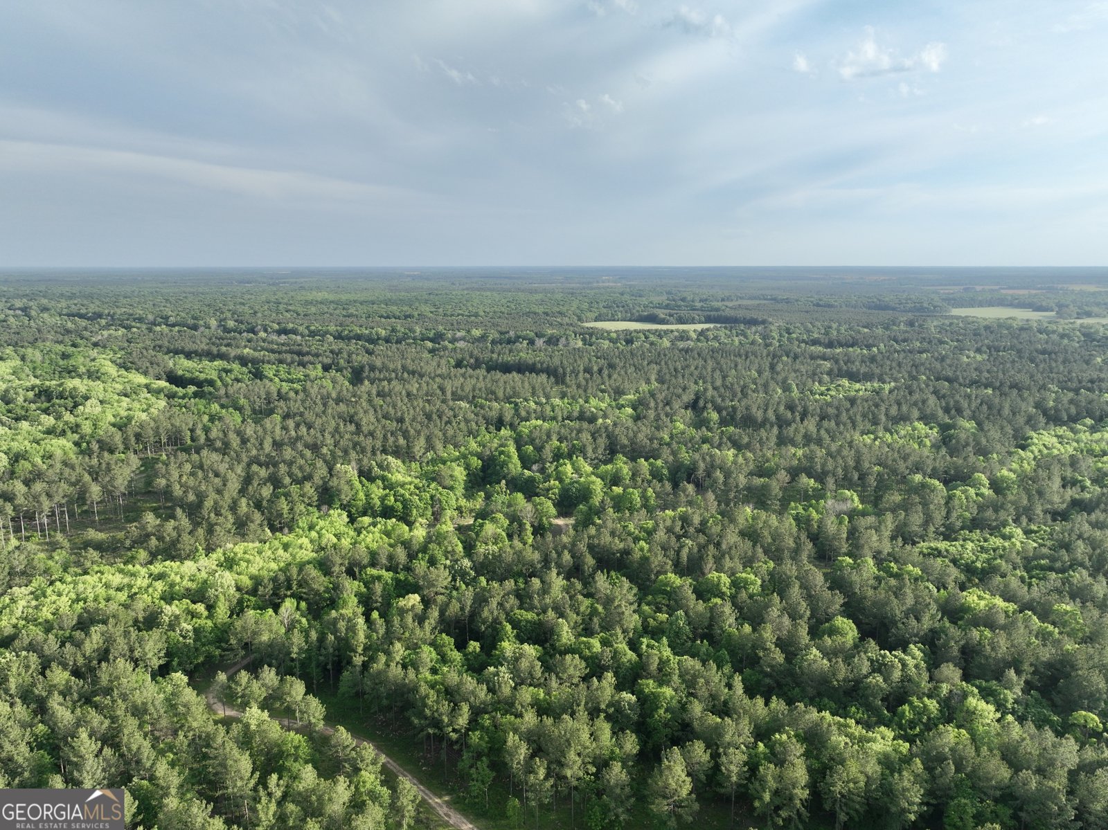 47 Southgate Lane Hawkinsville - 68