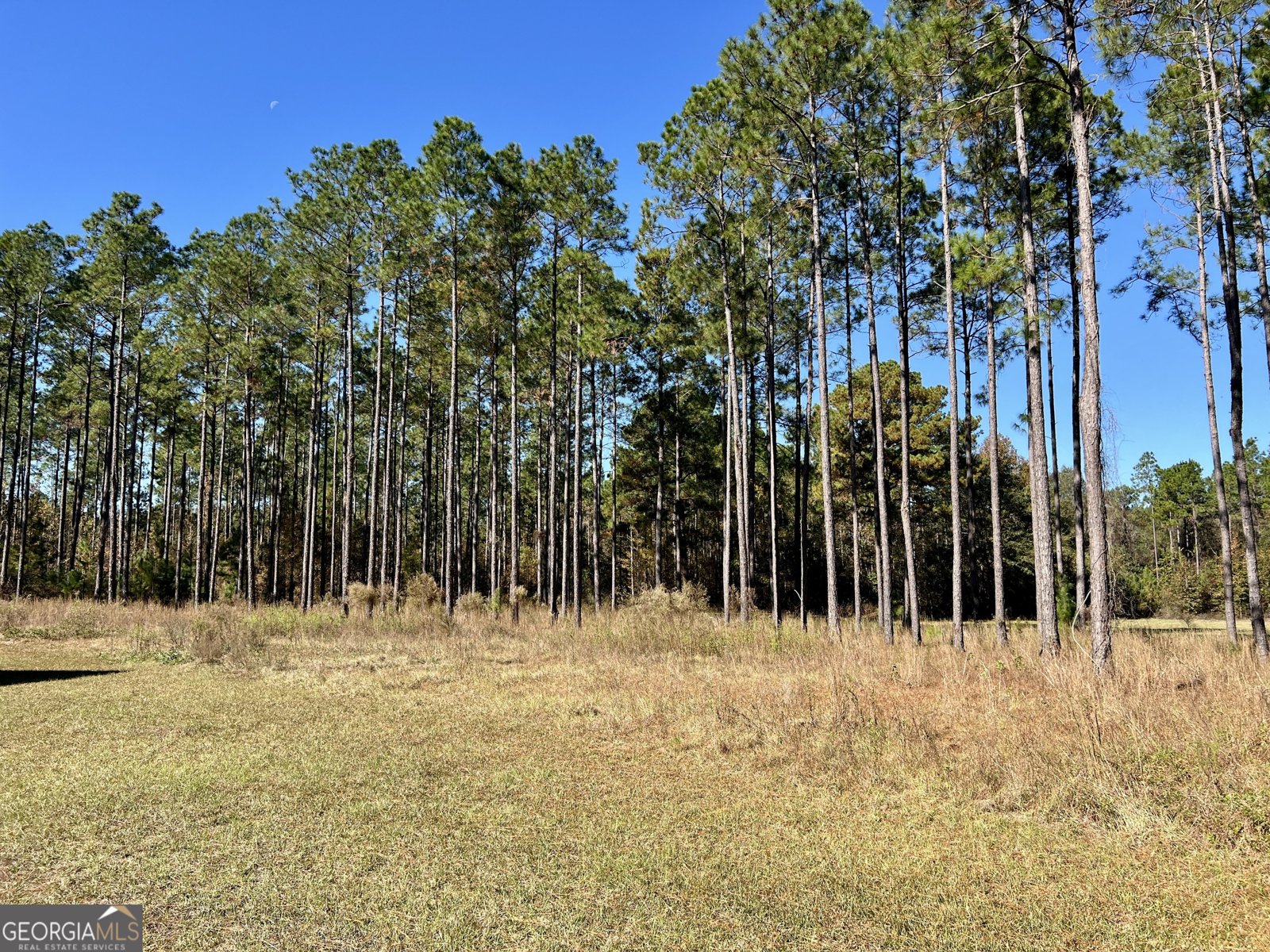 47 Southgate Lane Hawkinsville - 7