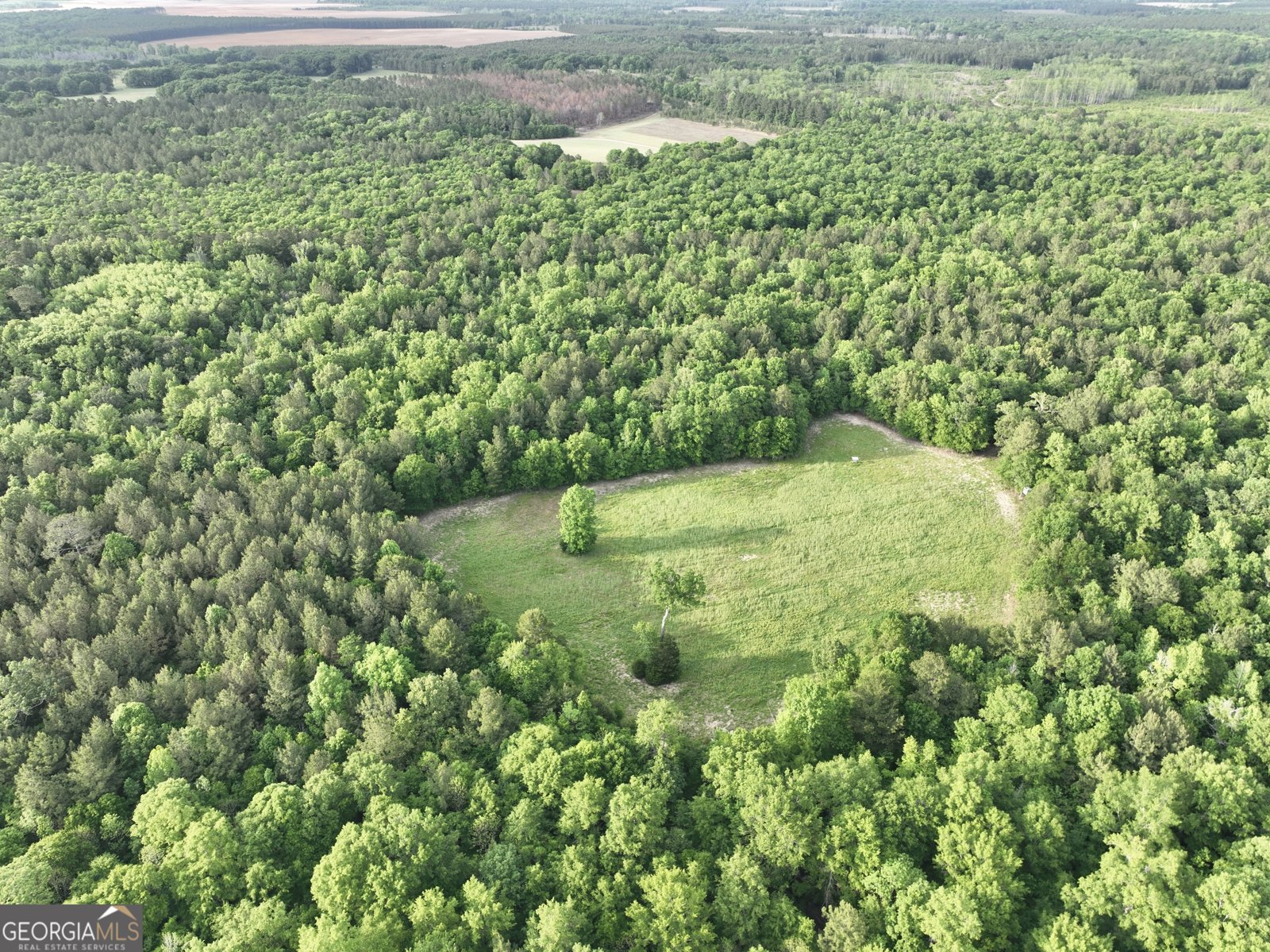 47 Southgate Lane Hawkinsville - 71