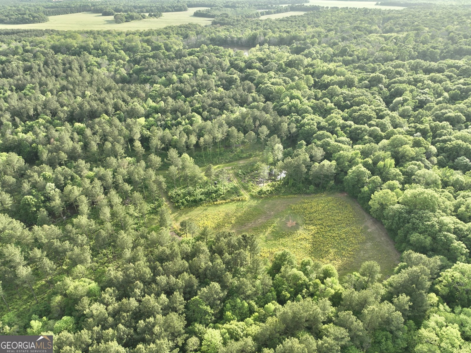 47 Southgate Lane Hawkinsville - 72