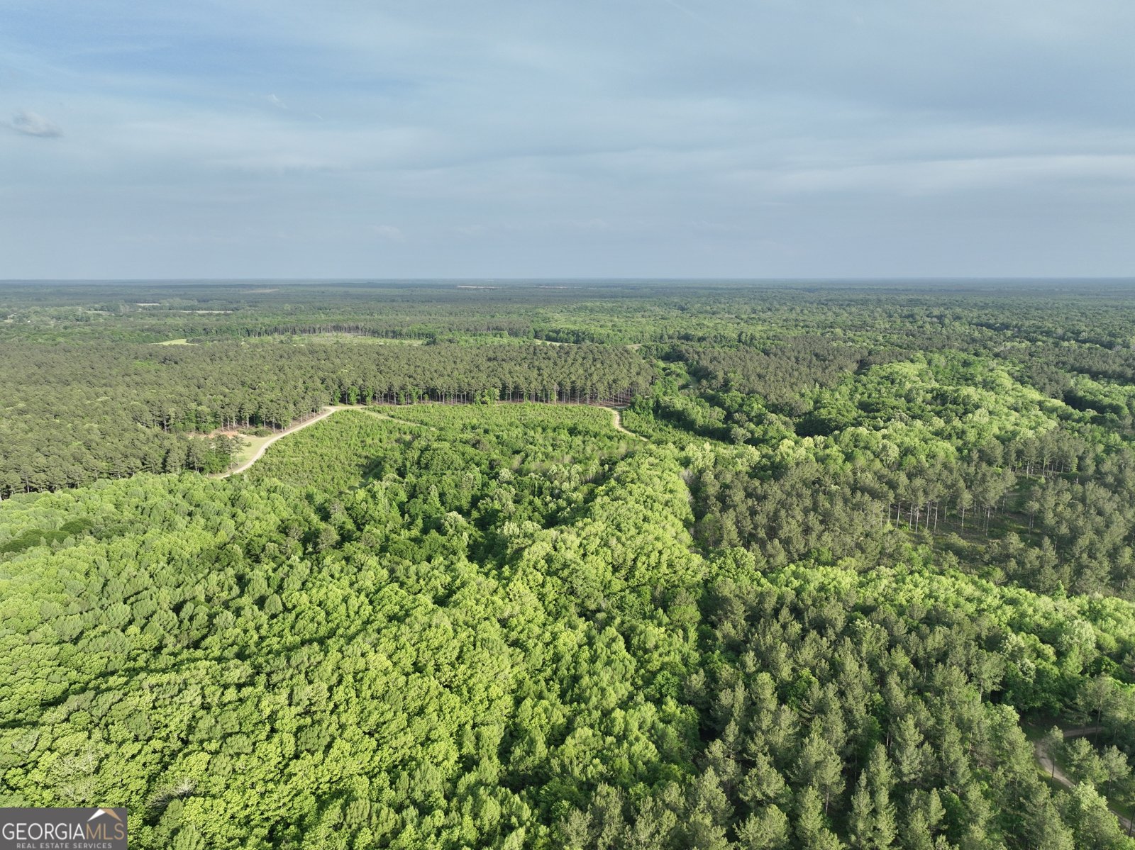 47 Southgate Lane Hawkinsville - 73