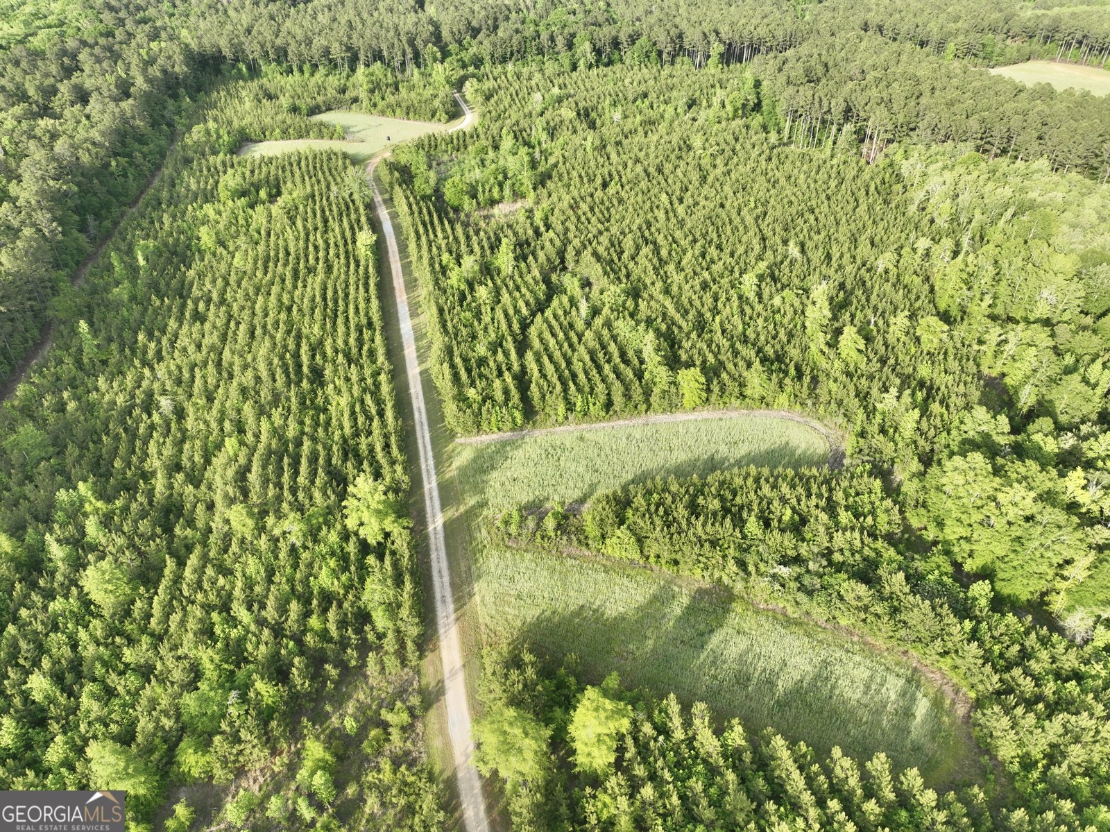 47 Southgate Lane Hawkinsville - 74