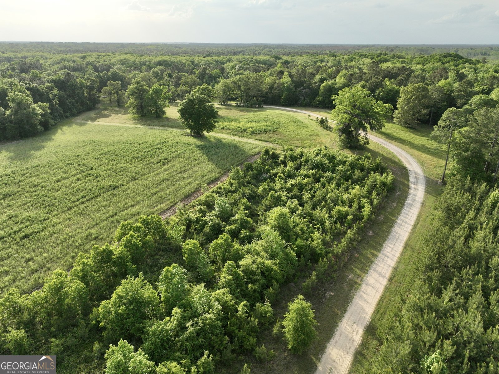 47 Southgate Lane Hawkinsville - 75