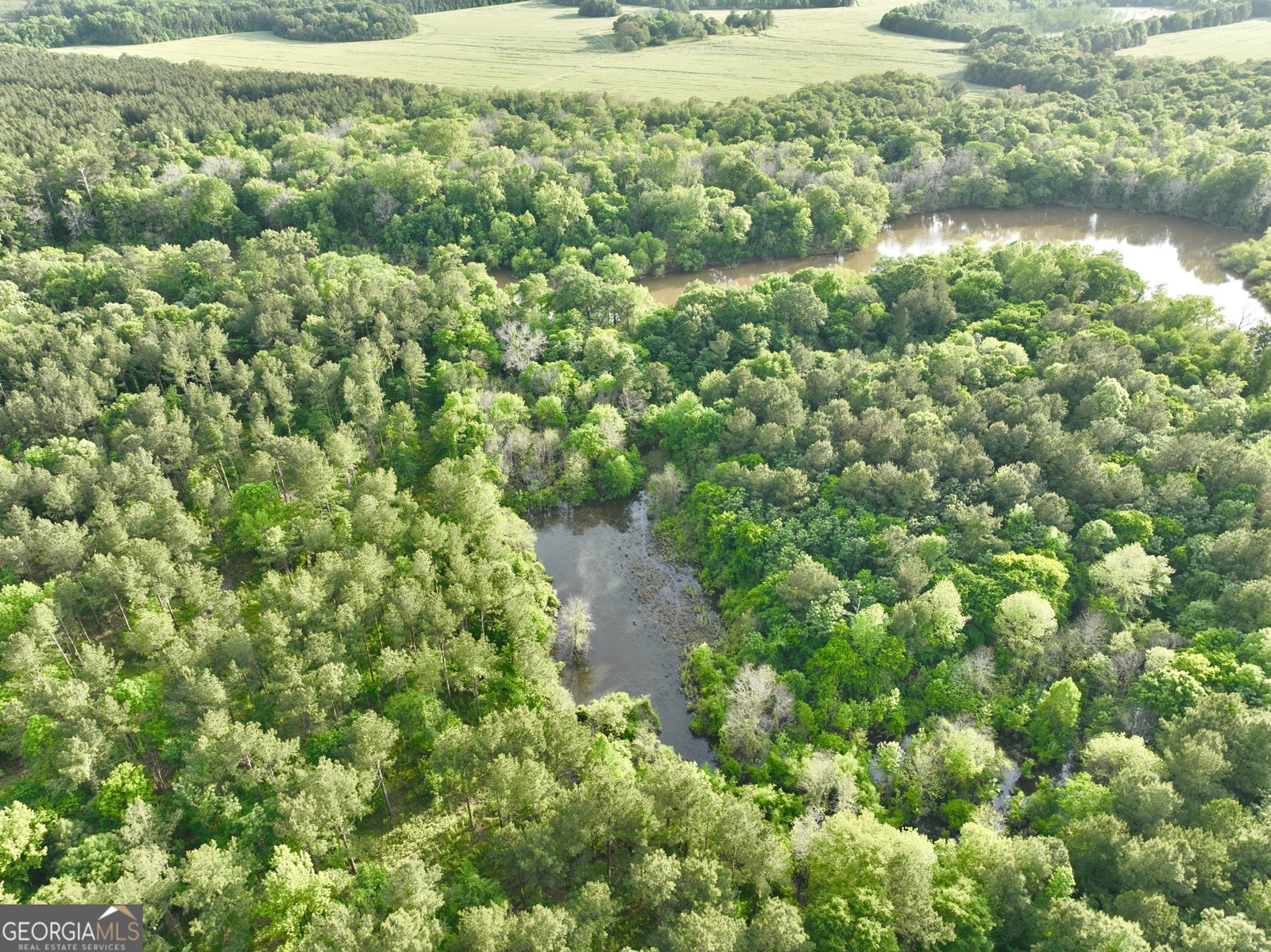 47 Southgate Lane Hawkinsville - 76