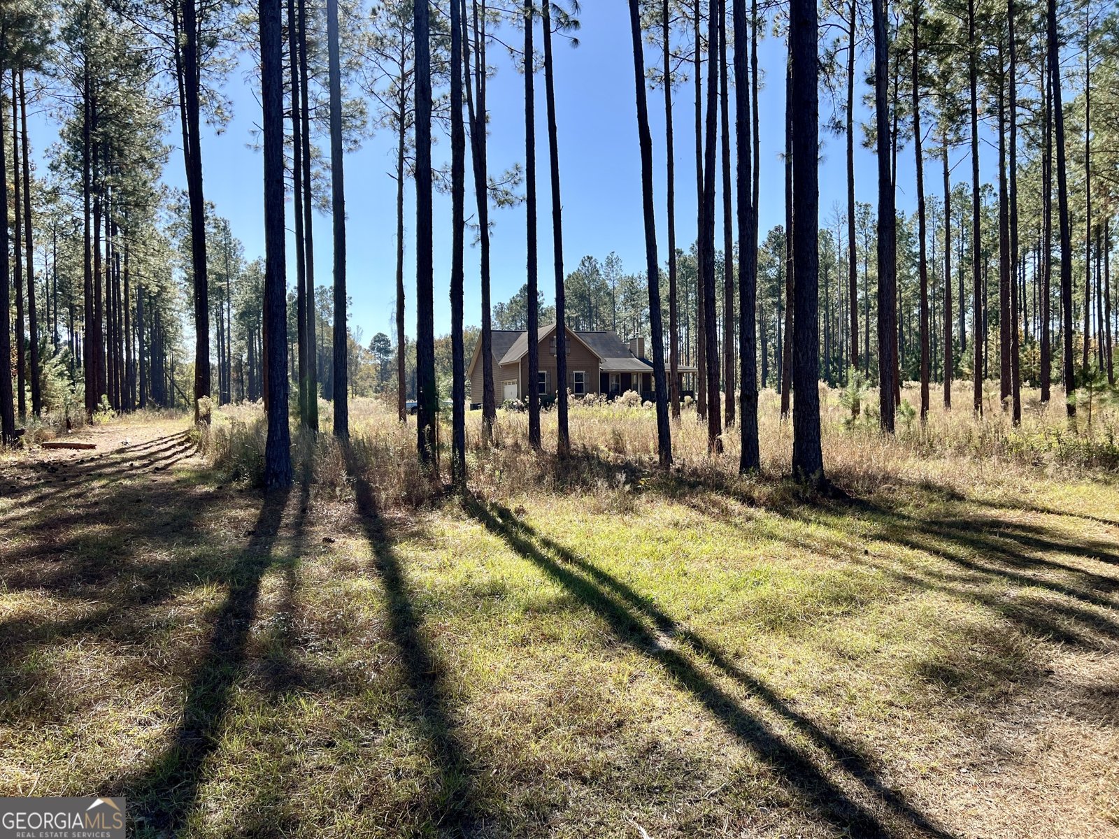 47 Southgate Lane Hawkinsville - 9