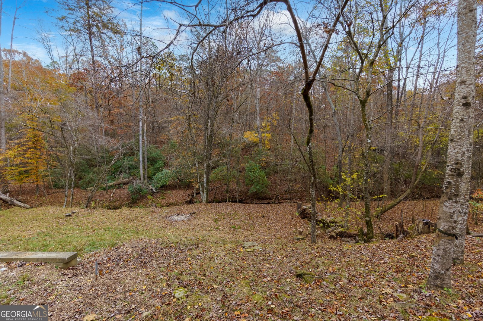 3055 Saint Gallen Court Cumming - 40