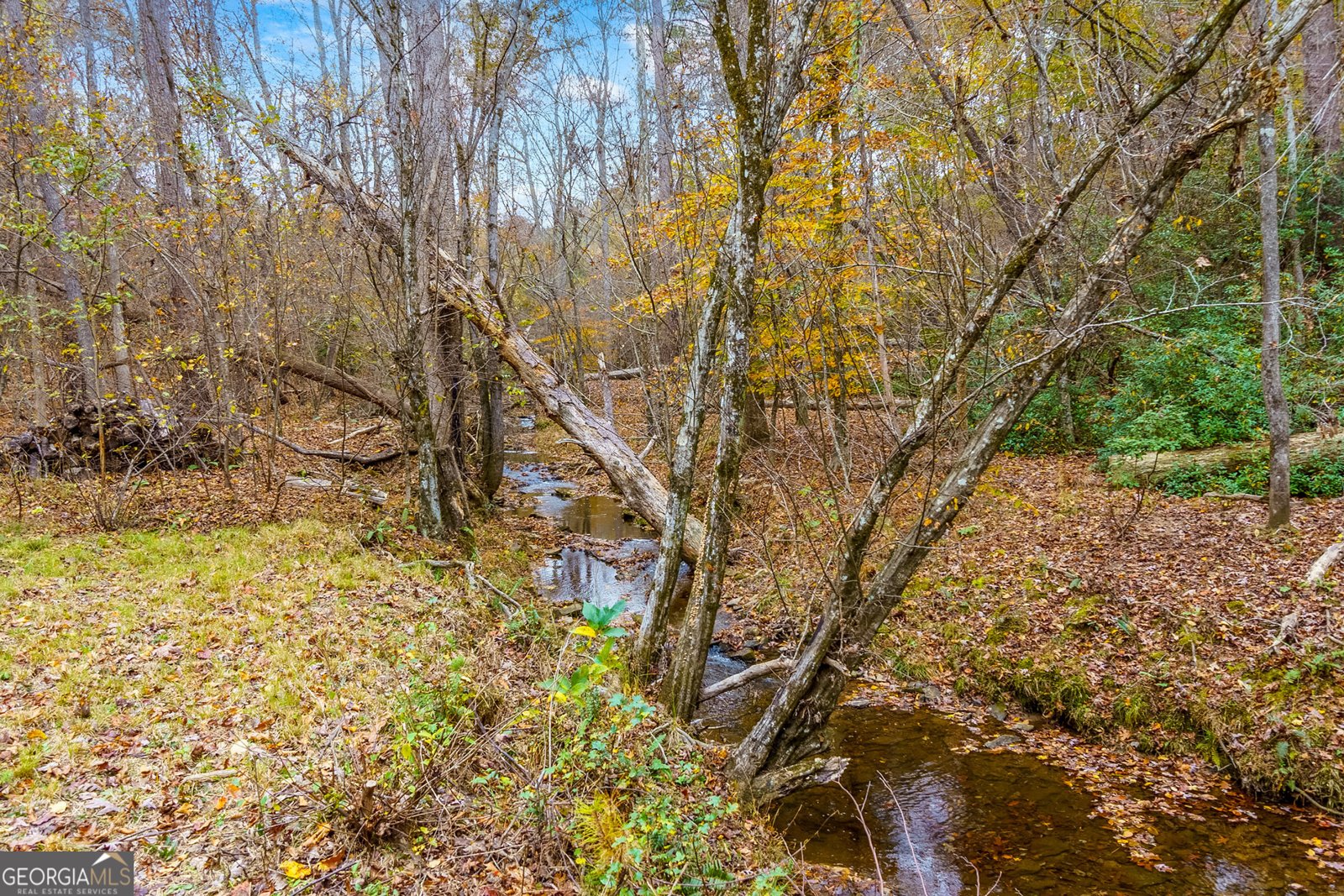 3055 Saint Gallen Court Cumming - 41