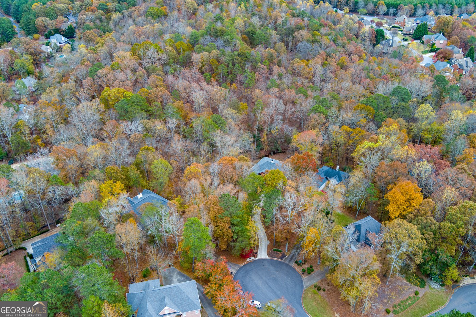 3055 Saint Gallen Court Cumming - 50