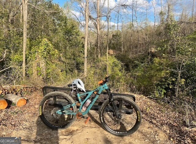 830 Ray Street Griffin - 6