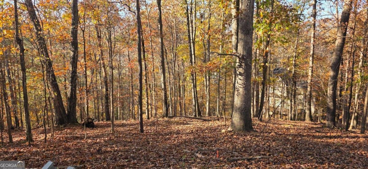 2540 Marsha Circle Cumming - 2