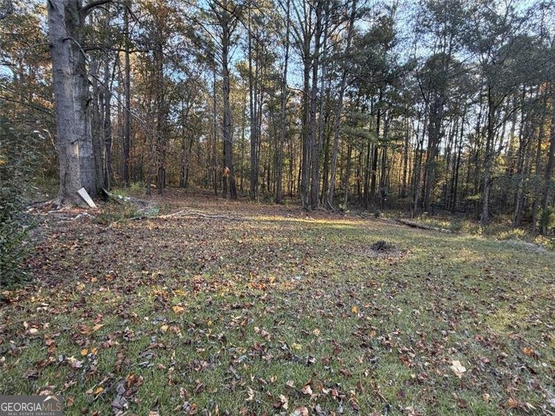 79 HOLLY Lane Griffin - 19