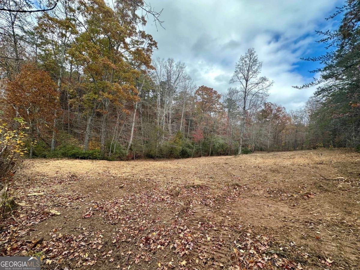 7567 Henderson Mountain Road Jasper - 10