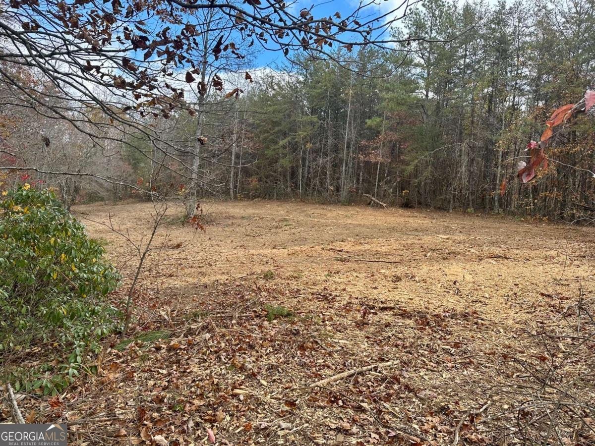 7567 Henderson Mountain Road Jasper - 12