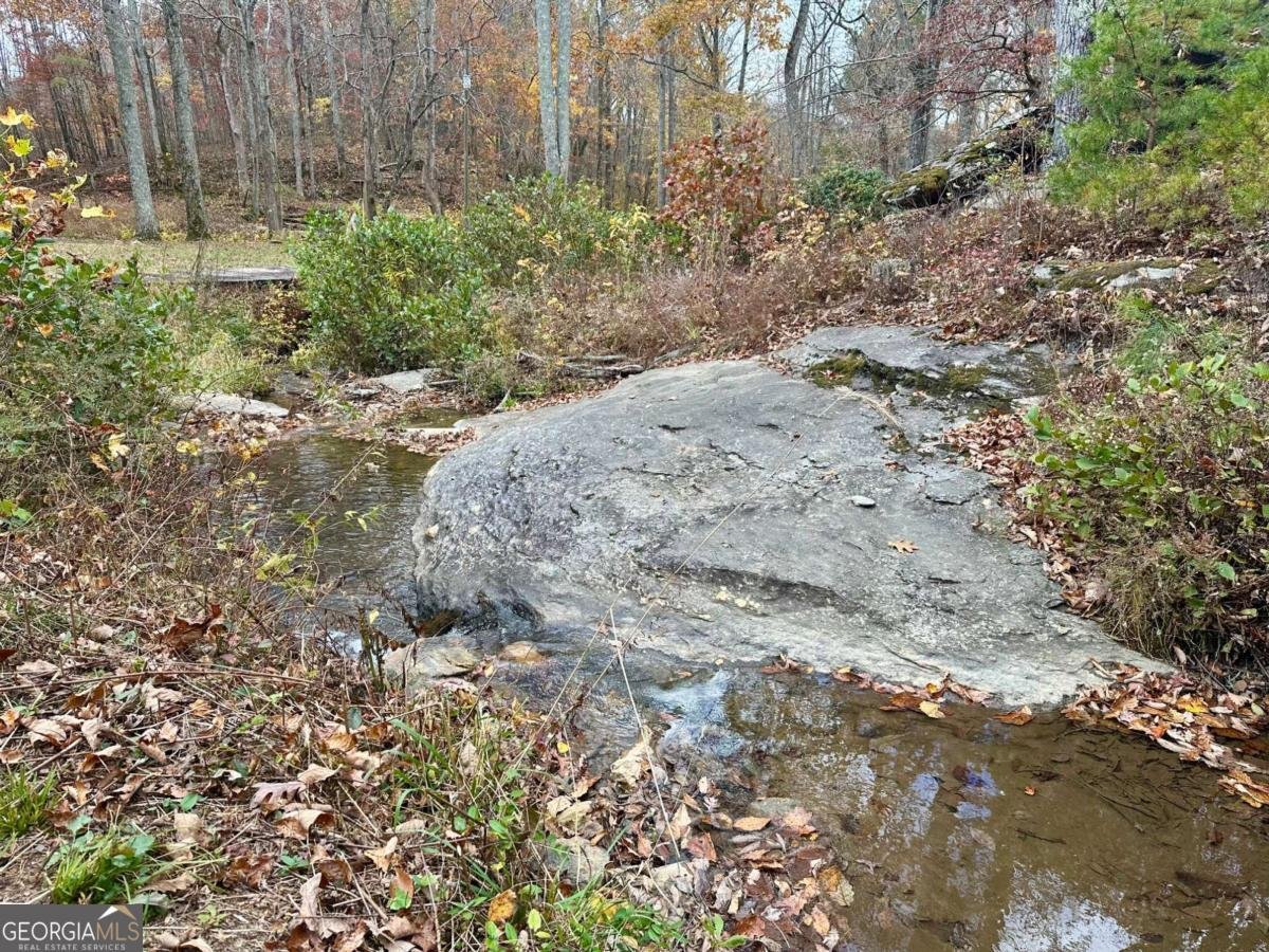 7567 Henderson Mountain Road Jasper - 13