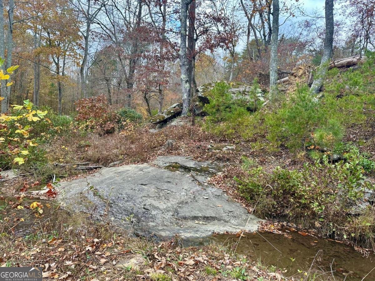 7567 Henderson Mountain Road Jasper - 15