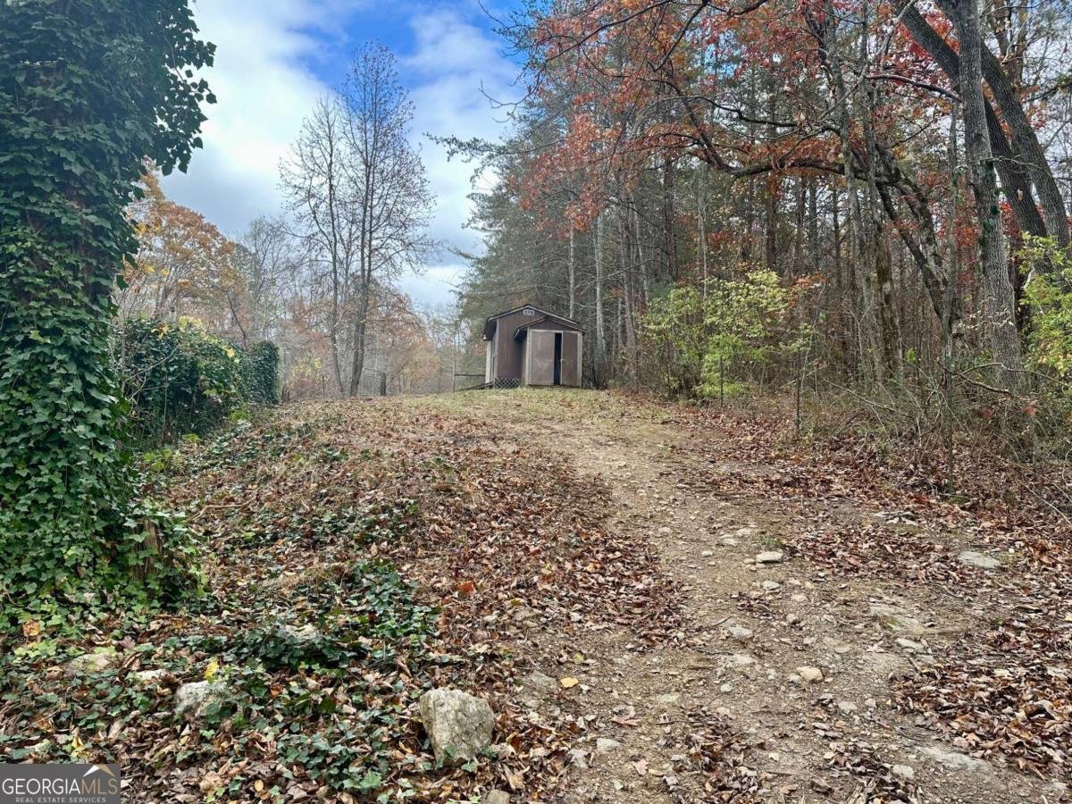 7567 Henderson Mountain Road Jasper - 6