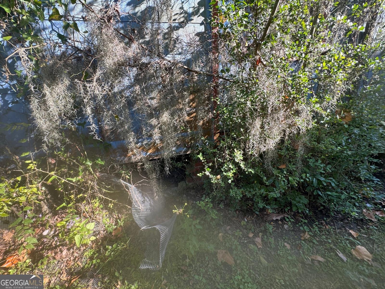 3112 Falligant Avenue Savannah - 10