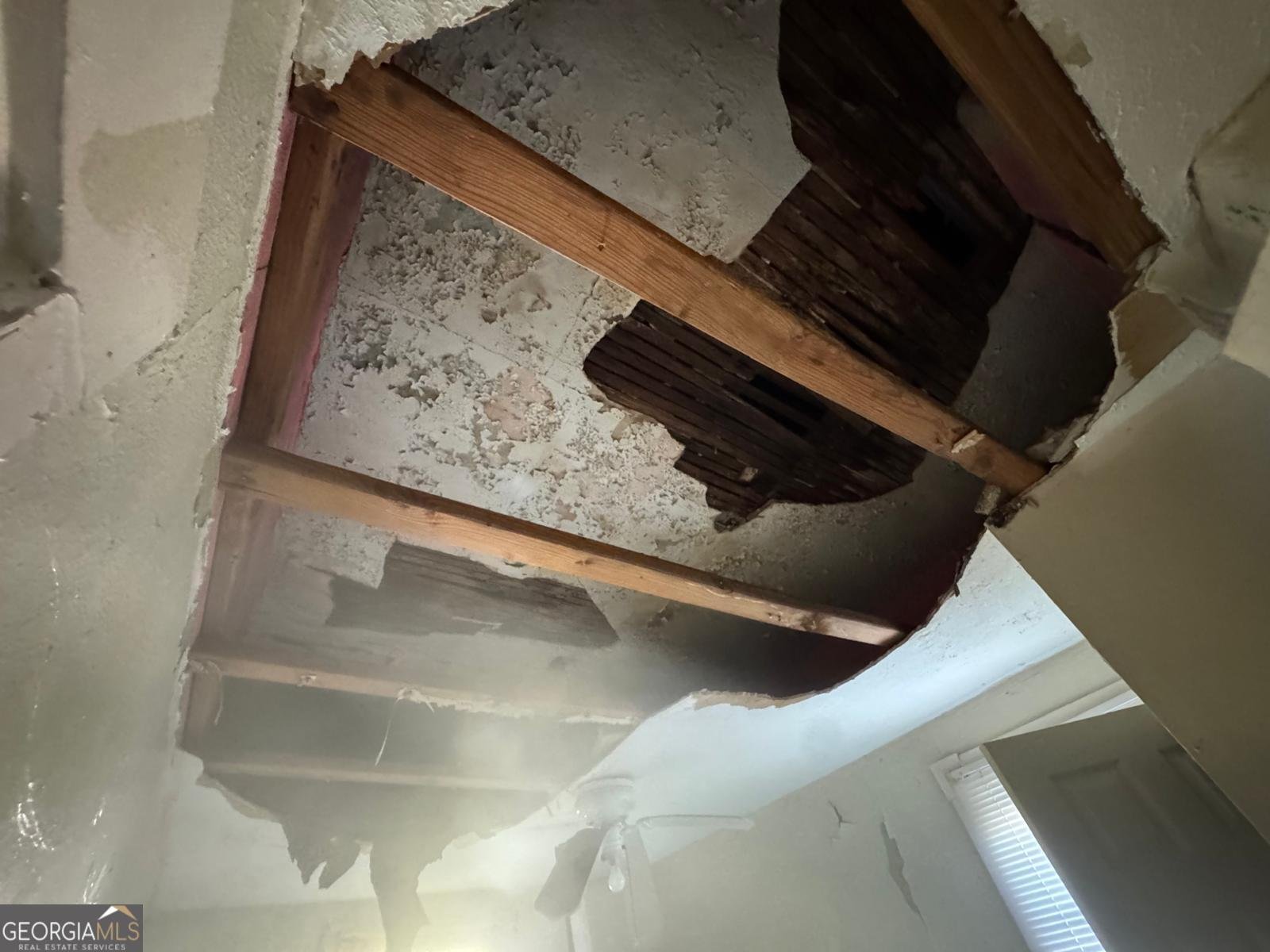 3112 Falligant Avenue Savannah - 23